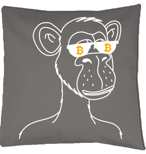 Bitcoin Kissen